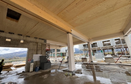 05_glulam_columns_clt_deck